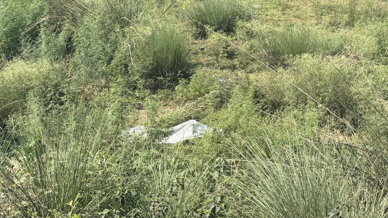 Himachal: young man dead body found in field; suspected drug overdose.