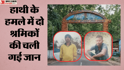 Two workers died during road construction work after being crushed by elephant in Manendragarh