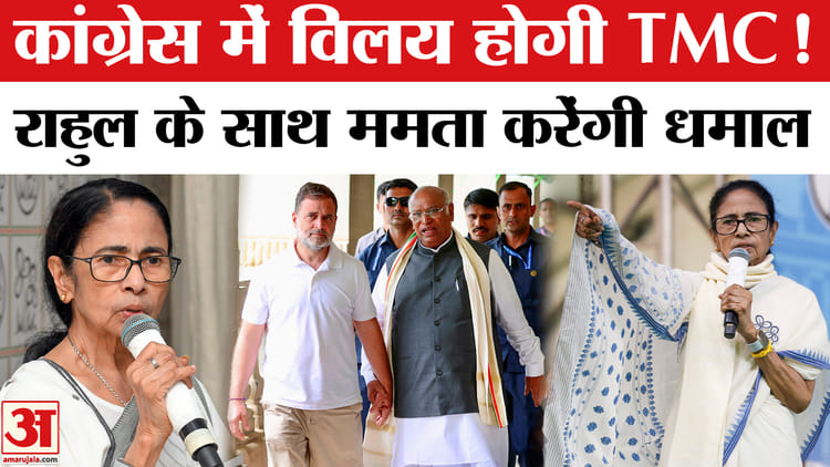 mamta_c664d0adca0348fb53f64686134d6a2b.jpeg?w=750&dpr=1.0