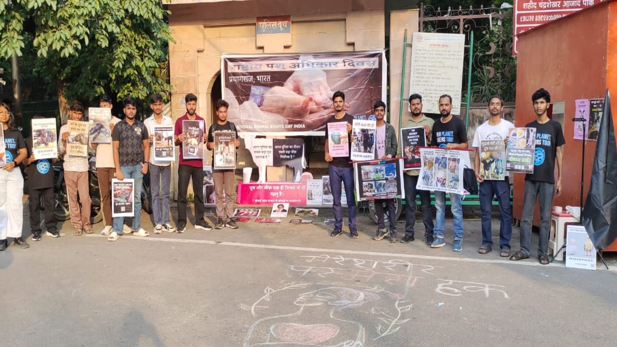 National Animal Rights Day celebrated at Azad Park; youth raise demand for cruelty-free lifestyle