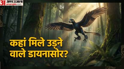 Scientists Found Fossil Of 120-Million-Year-Old Birdlike Dinosaur In China