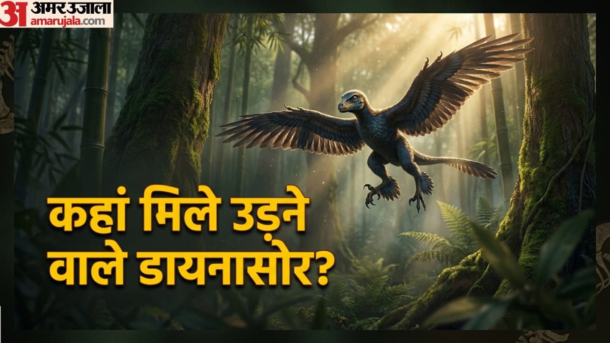 Scientists Found Fossil Of 120-Million-Year-Old Birdlike Dinosaur In China