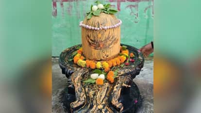 Naga figure found beneath argha of Shivling in Domri feature unique in Kashi