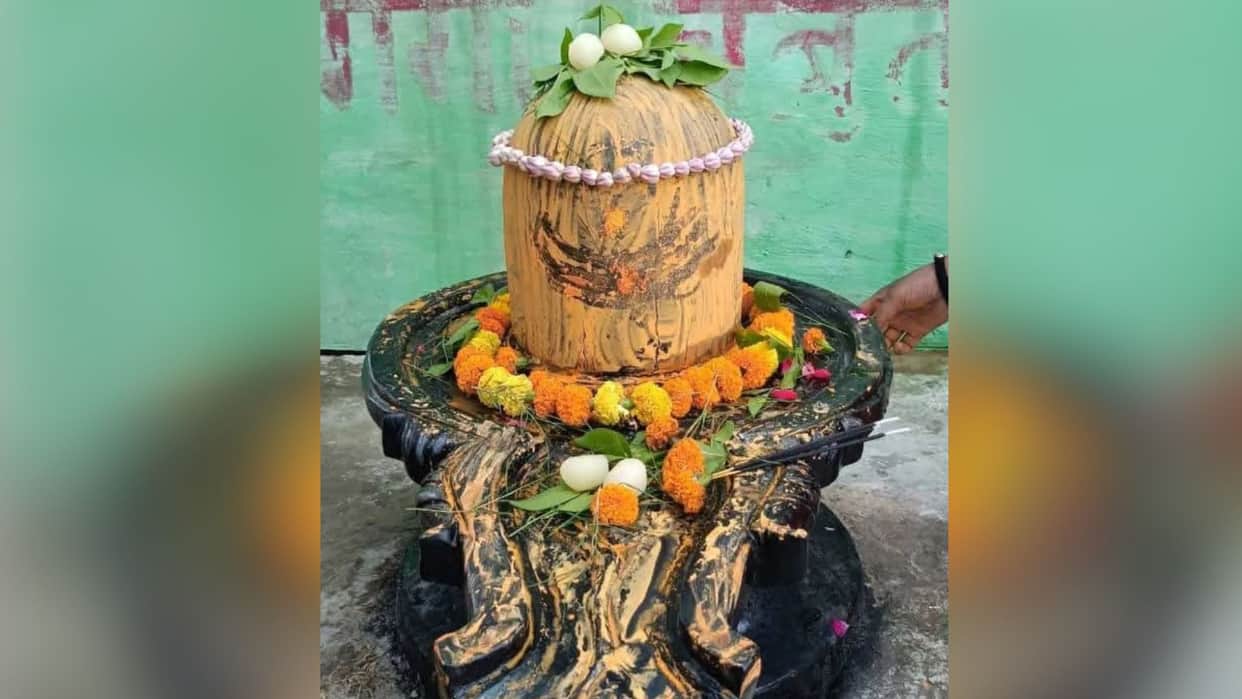 Naga figure found beneath argha of Shivling in Domri feature unique in Kashi