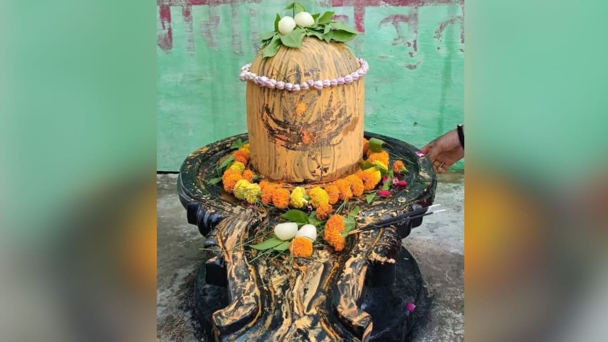 Naga figure found beneath argha of Shivling in Domri feature unique in Kashi