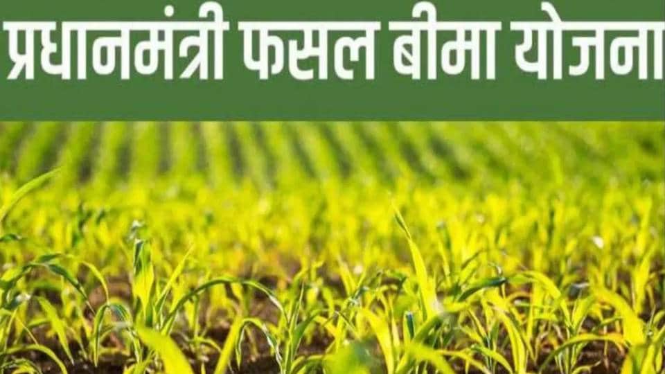 फसल बीमा घोटाला