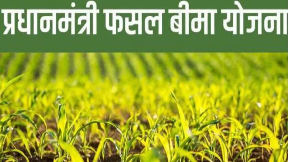 UP News: रबी-खरीफ सीजन में 1.63 लाख फसल बीमा आवेदन मिले फर्जी, जारी की गई चेतावनी