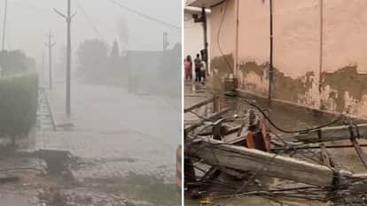 Heavy storms and rain wreak havoc in Haryana, uprooting electricity poles, toppling a 100-year-old tree