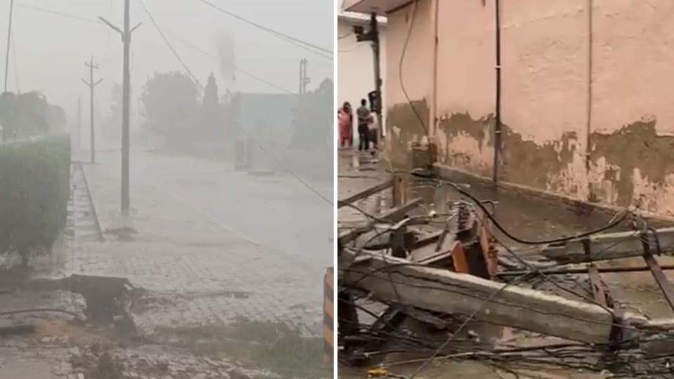 Heavy storms and rain wreak havoc in Haryana, uprooting electricity poles, toppling a 100-year-old tree