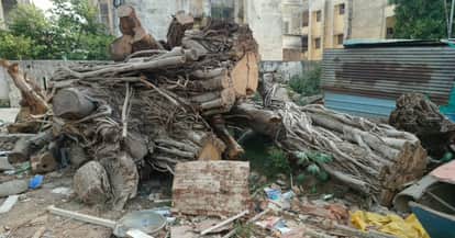 Kanpur Cardiology and Medical College at odds dispute over demolition of quarters and felling of banyan tree