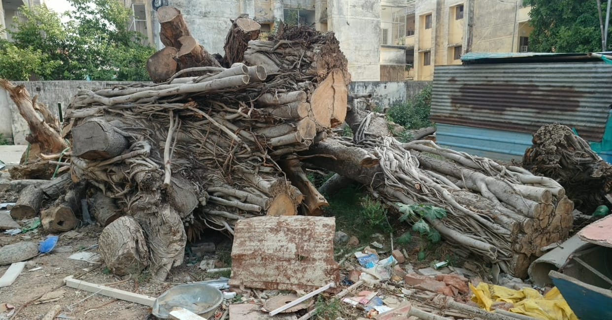 Kanpur Cardiology and Medical College at odds dispute over demolition of quarters and felling of banyan tree