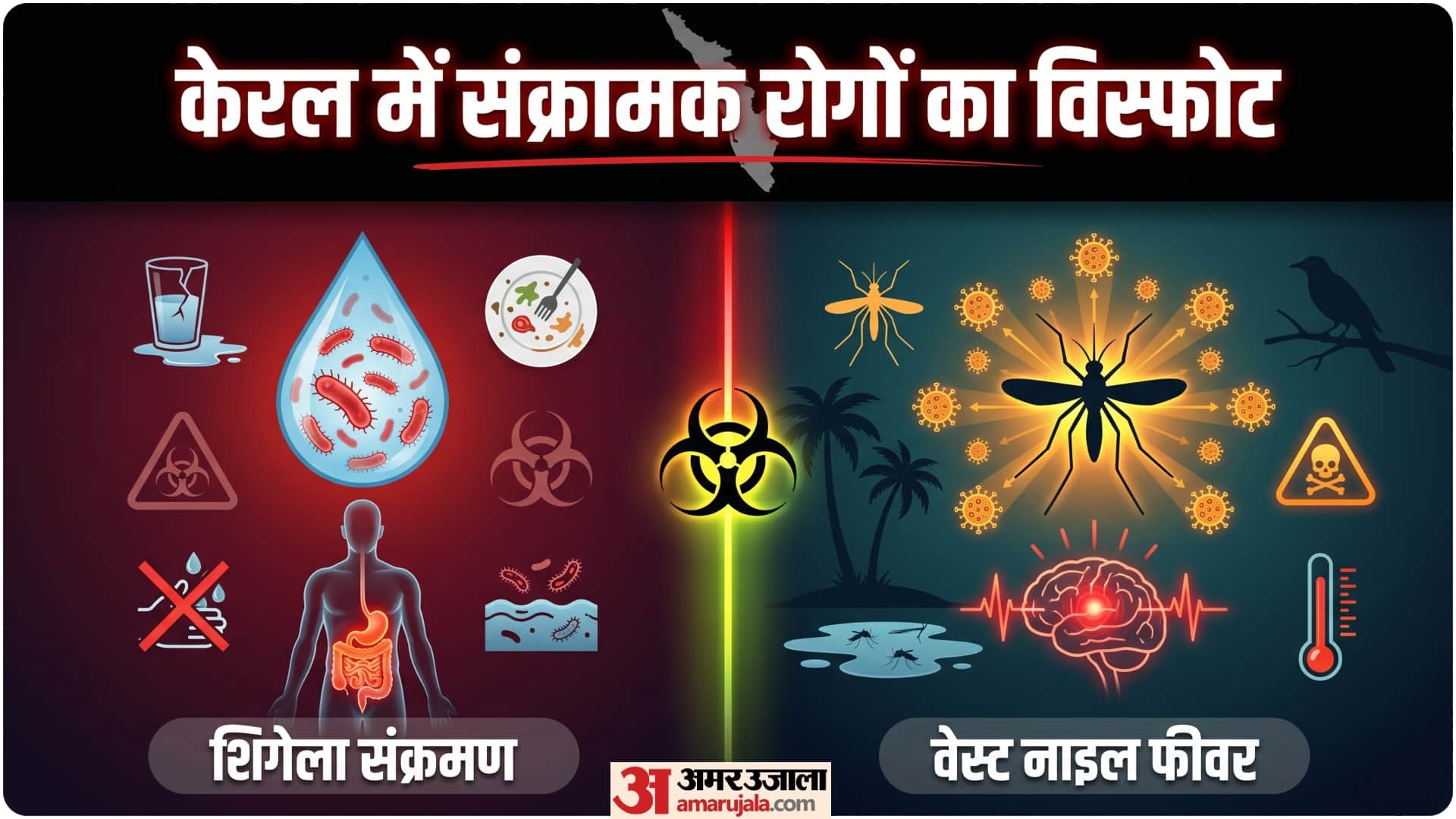 shigella infection and west nile fever in kerala latest news and update know details in hindi in hindi
