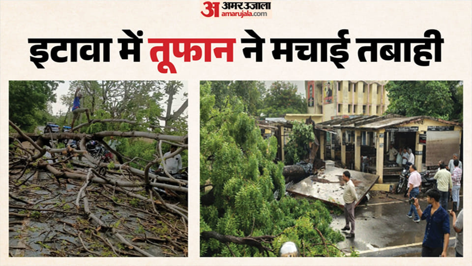 170 poles toppled, 200 trees uprooted in Etawah; woman dies, two injured