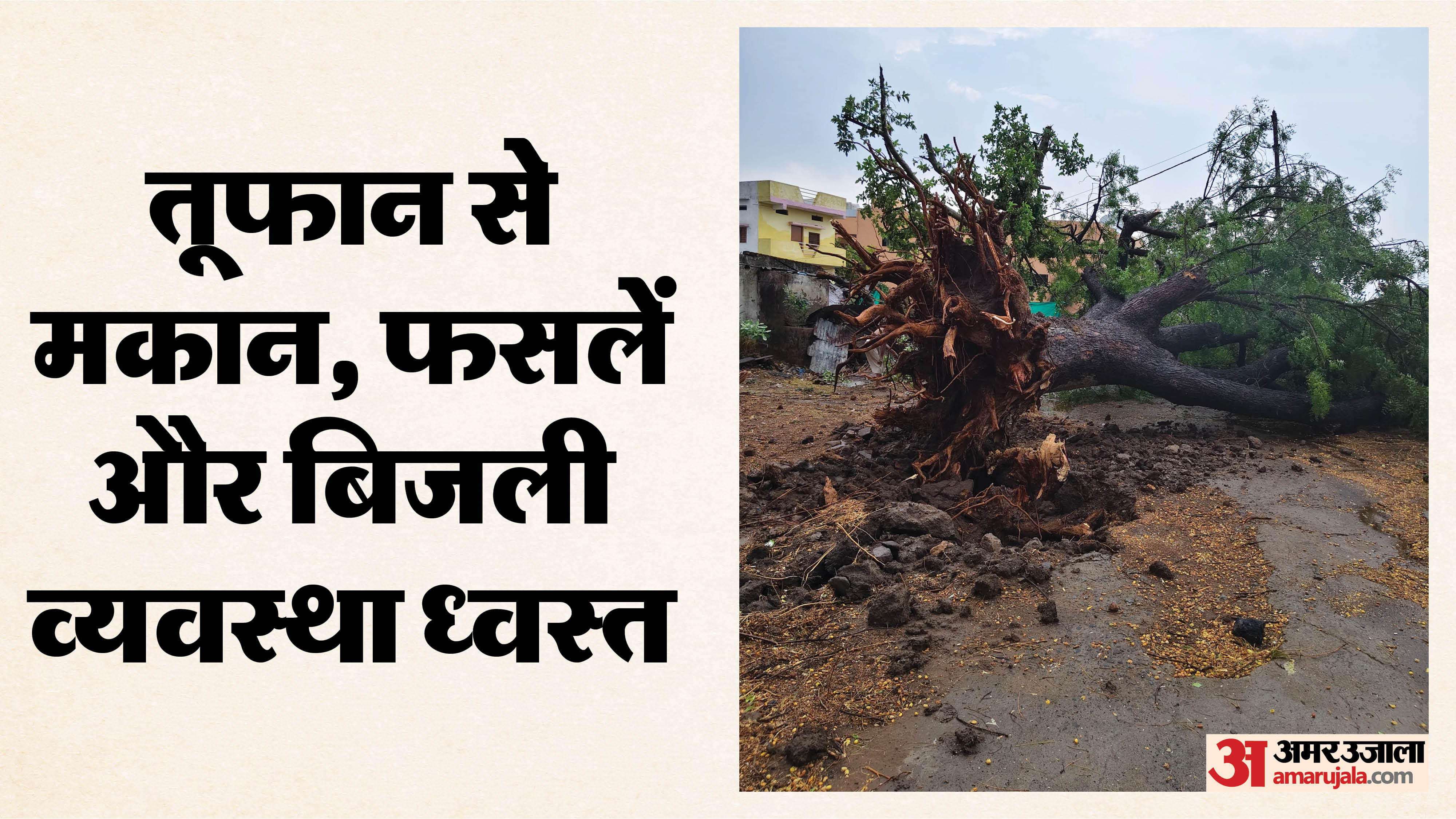 टूटा पेड़