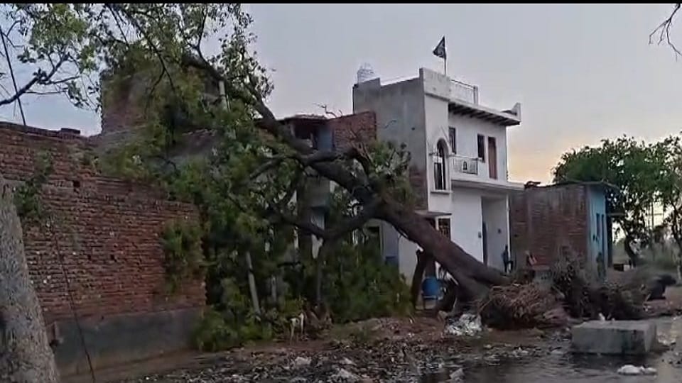 Storm Havoc in Mathura: Tents Torn Apart, Trees Uprooted and Power Supply Disrupted
