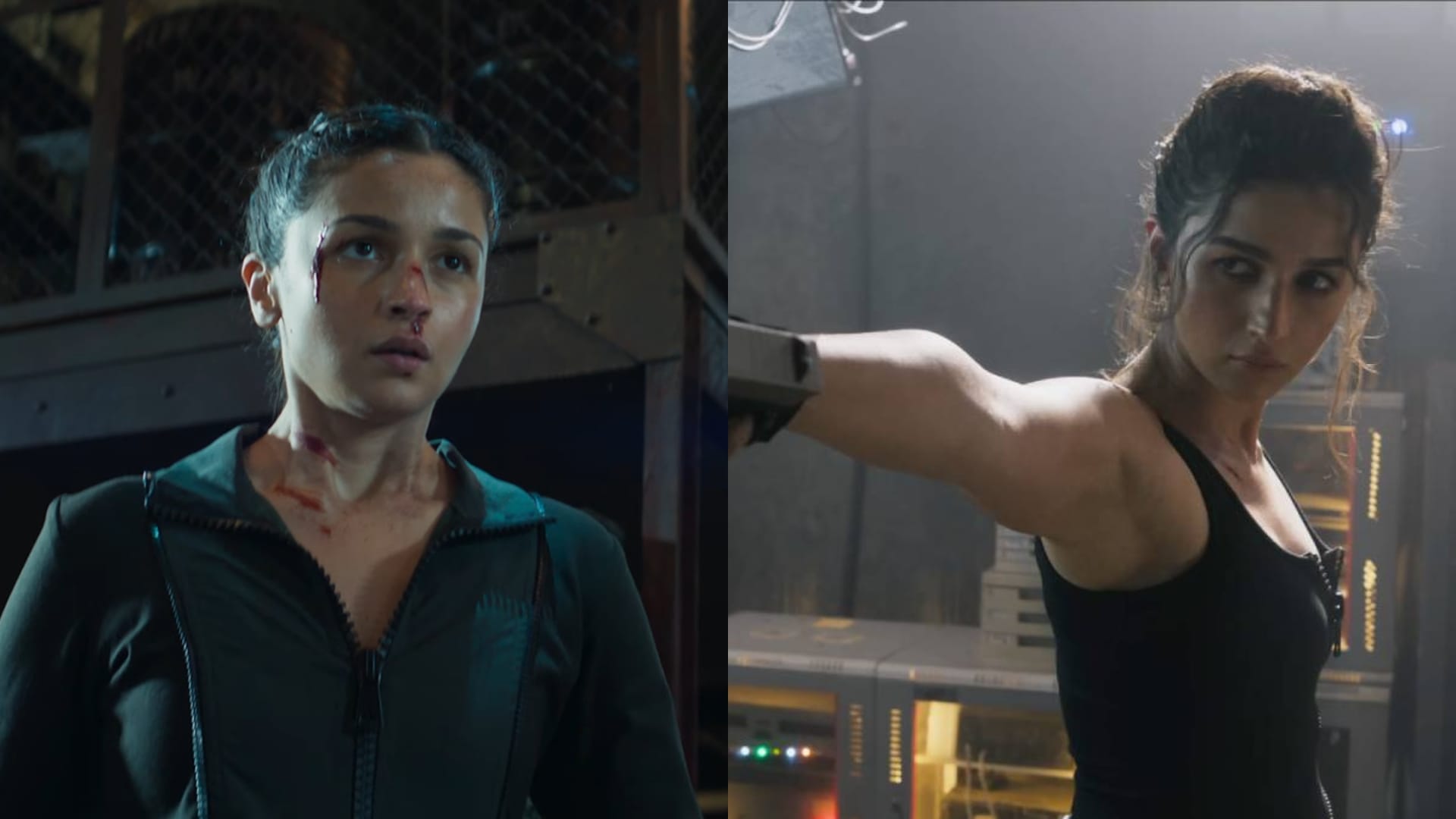 Alpha Box Office Collection Day 5 Alia Bhatt Sharvari Bobby Deol Anil Kapoor Hrithik Roshan