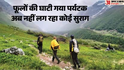 Tourist from Haryana goes missing in Uttarakhand Valley of Flowers SDRF engaged in search operation