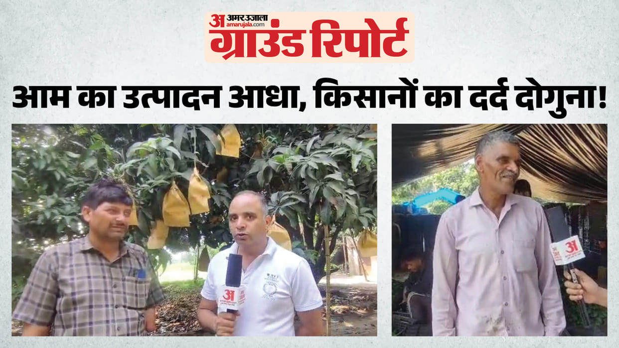Ground Report: This year mango will be within reach of only privileged few
