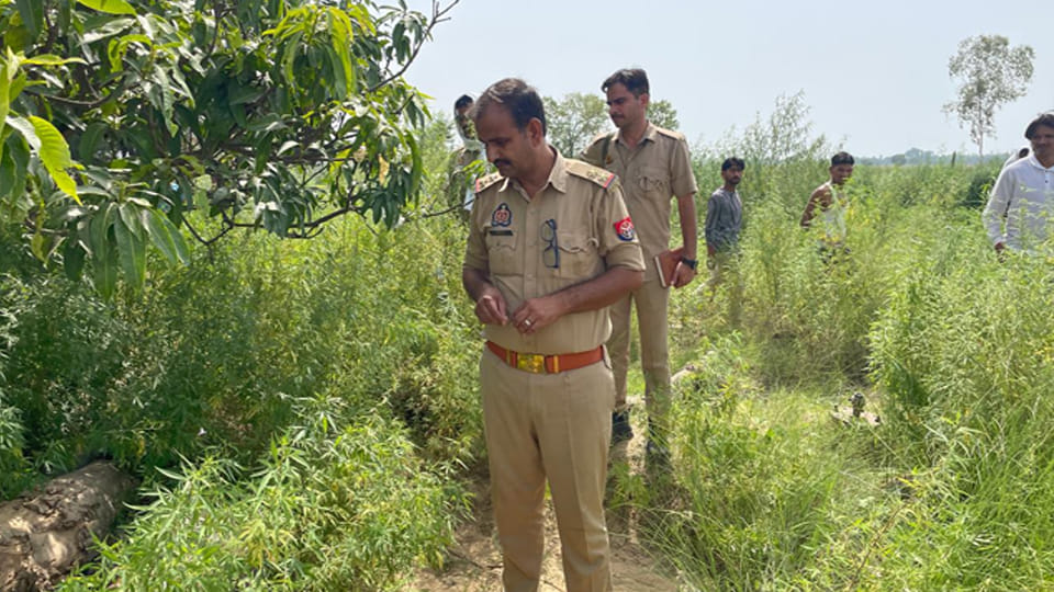 मौके पर मौजूद पुलिस