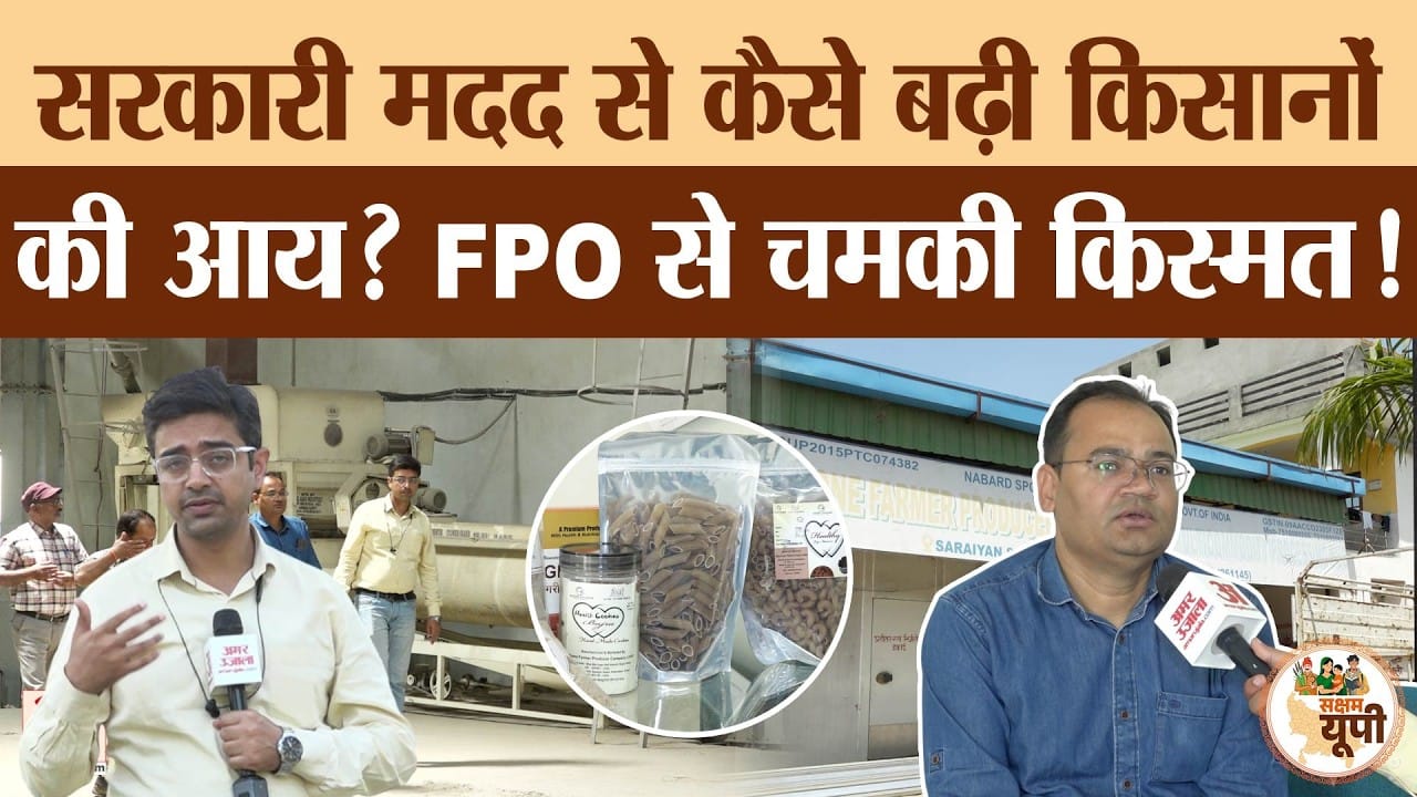 Sitapur Ground Report: FPO became the strength of farmers