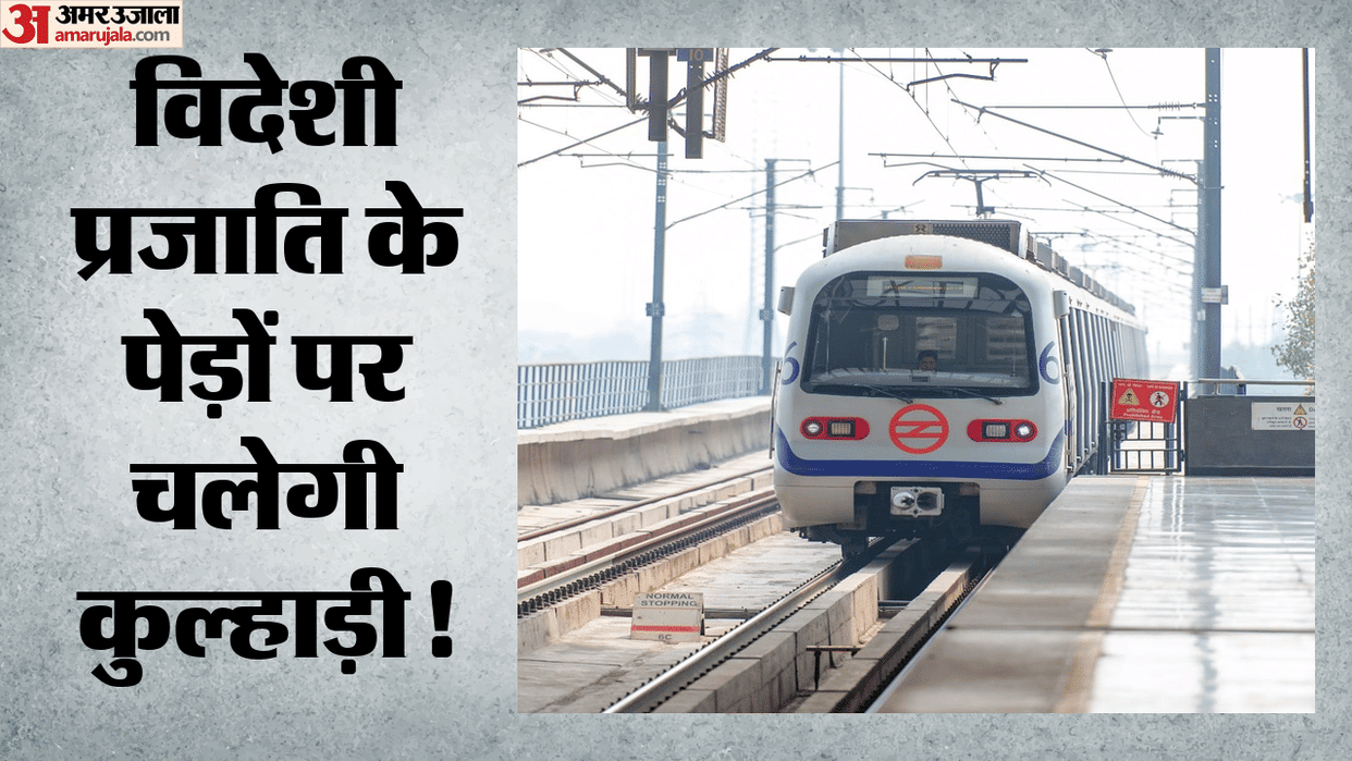 Delhi Metro Phase 4: 3,493 trees fall in the path of the Rithala-Kundli Metro line; 527 will be felled