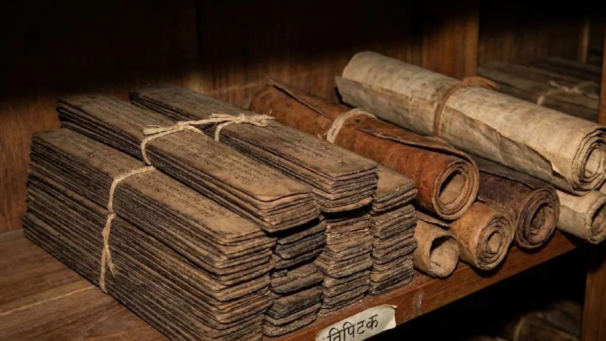 Prayagraj Revenue Archives: Termites devoured records; rats gnawed through files.