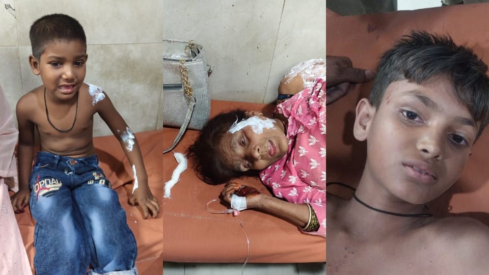 Bus carrying wedding guests comes into contact with high-tension line in Pilibhit woman dies eight burns