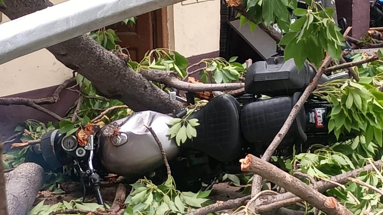 Petrol pump roof blown off by storm in Bareilly hundreds of poles and trees toppled
