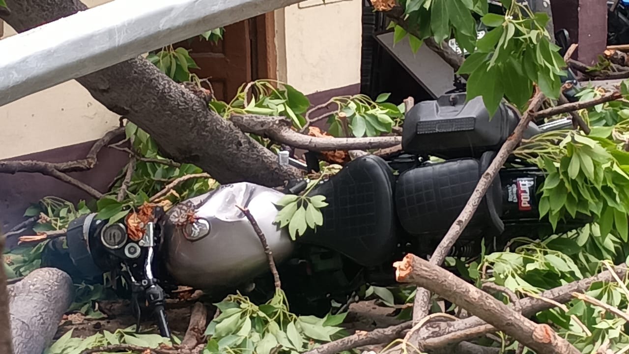 Petrol pump roof blown off by storm in Bareilly hundreds of poles and trees toppled