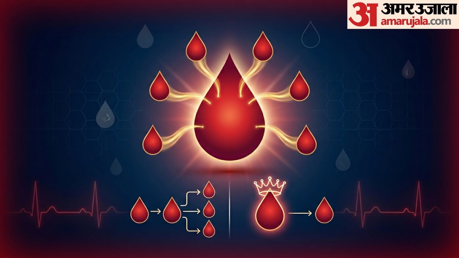 world Blood Donor 2026 how many types of blood group in human body