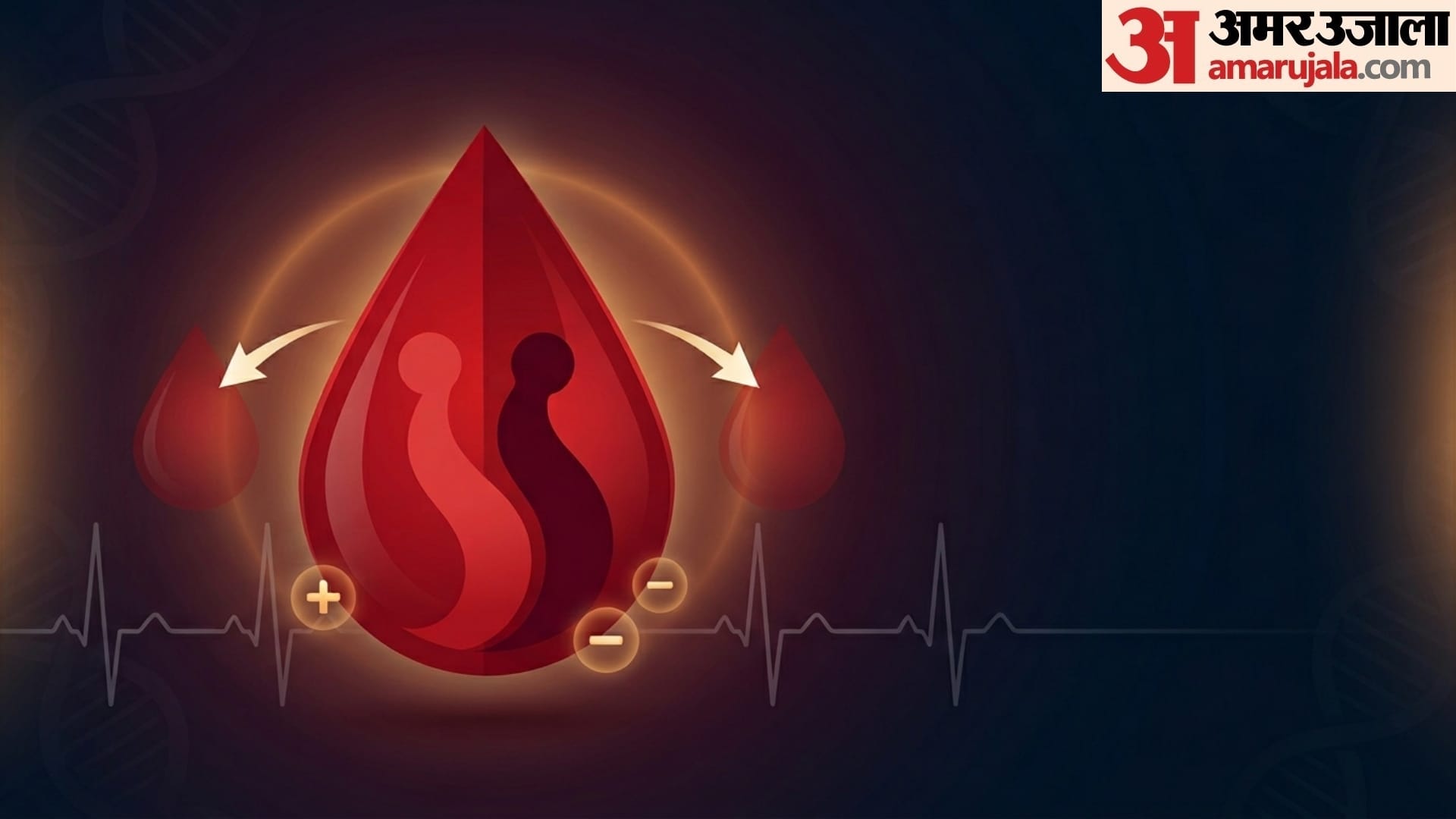 world Blood Donor 2026 how many types of blood group in human body