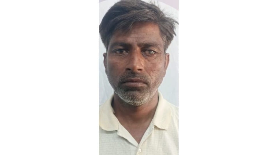 Contract lineman dies due to electric shock