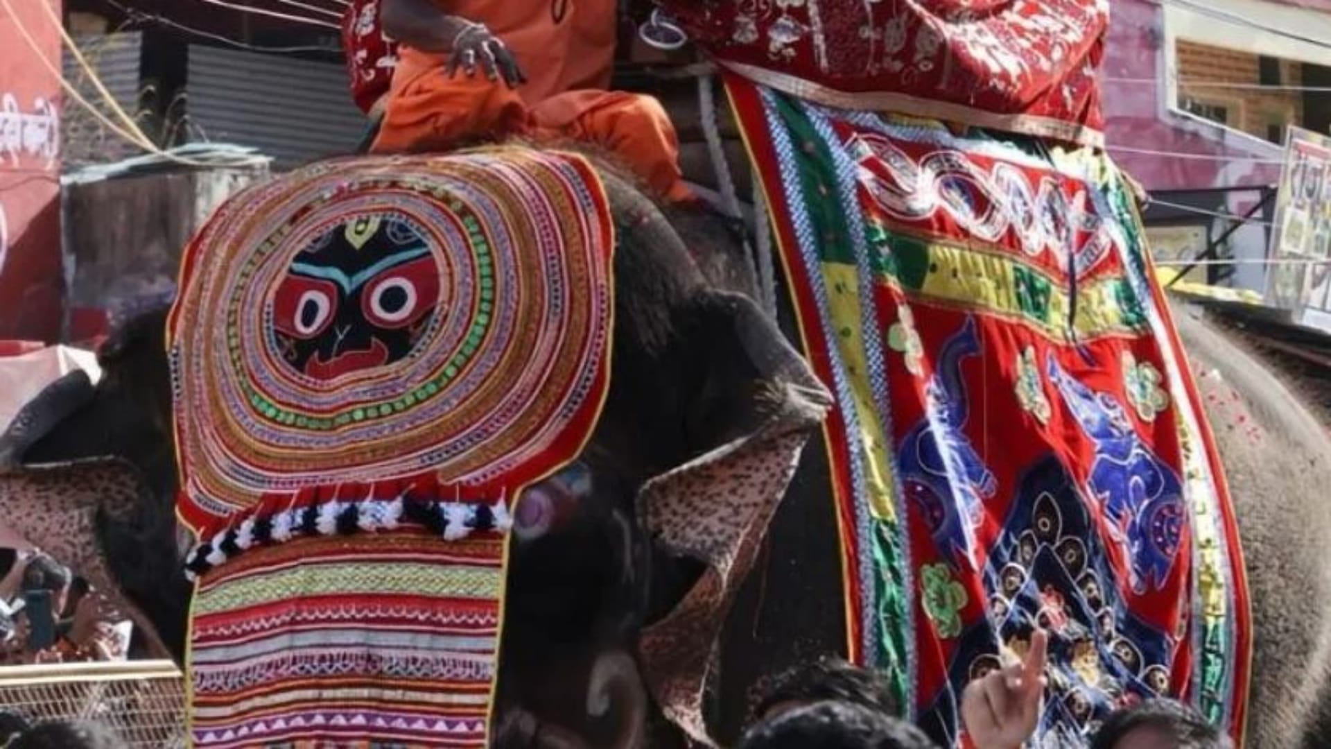 Ujjain News: Health Check of Mahakal Procession Elephant Sparks Row, Blood Sampling Halted Amid Protests