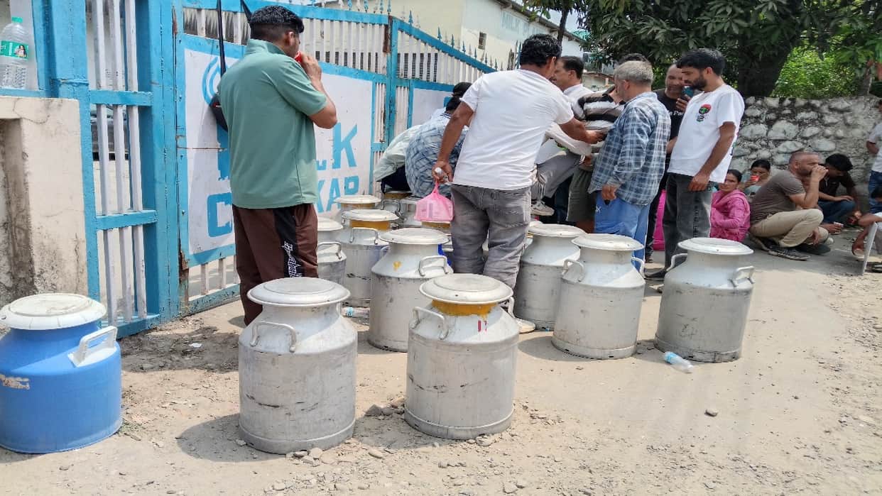 Maharashtra milk price hike cow buffalo milk august