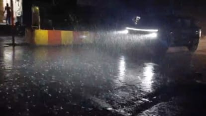 UP Weather Today Storms and Heavy Rain Topple Hundreds of Trees and Power Poles in West Uttar Pradesh