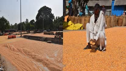 Farmers worried about maize