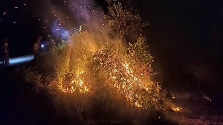 Uttarakhand News: रिहायशी इलाके की ओर बढ़ी जंगल की आग, ग्रामीणों में दहशत; वन विभाग ने कहा- होगी कार्रवाई