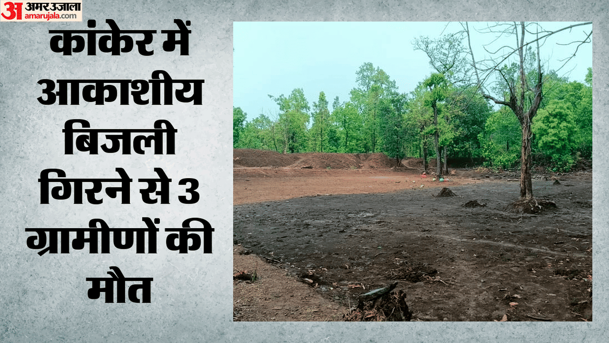 Deputy Sarpanch among 3 killed, 5 injured in lightning strike in Chhattisgarh's Kanker