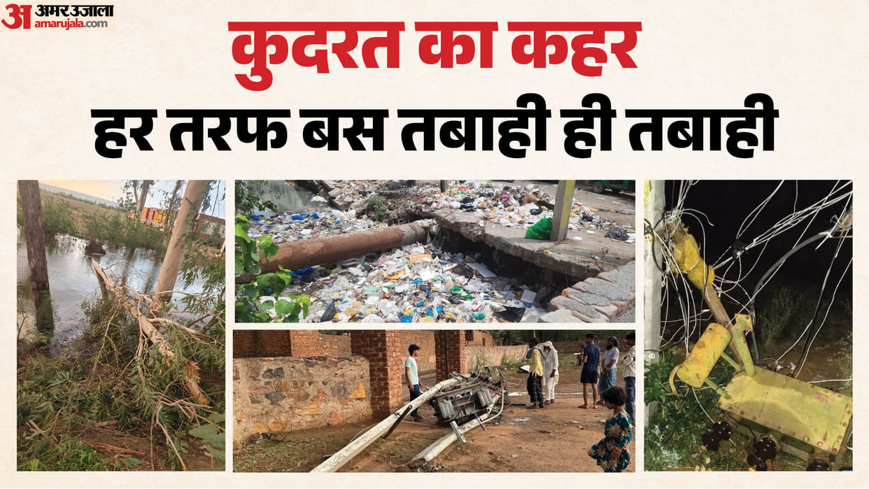 Over 200 electricity poles toppled 13 transformers damaged 260 trees uprooted in Storm