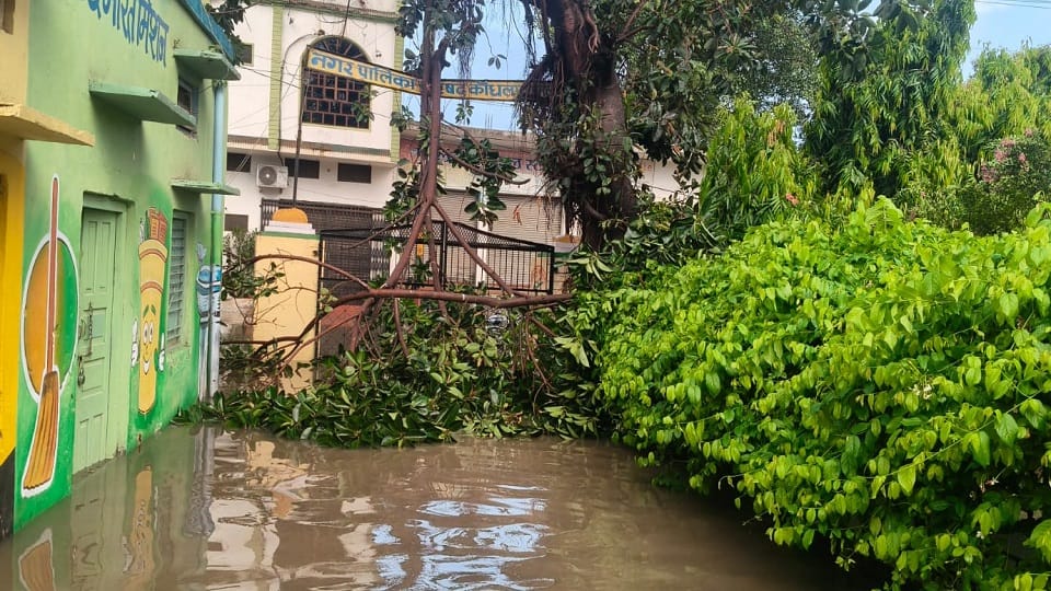 Shamli: Power supply disrupted in 230 villages across the district due to storms and rain; 25 poles toppled