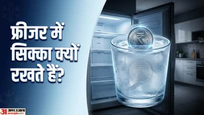 Freezer Viral Coin Hack in Hindi Fridge Food Safety Tips And Tricks