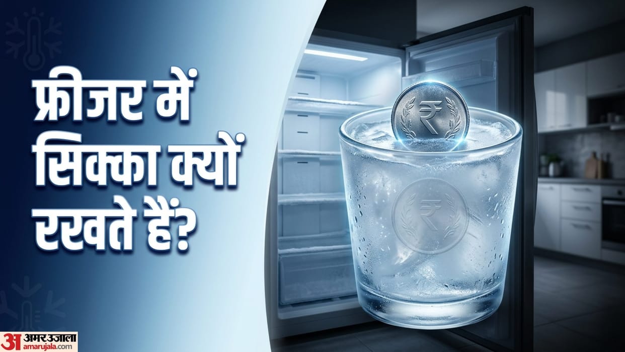 Freezer Viral Coin Hack in Hindi Fridge Food Safety Tips And Tricks
