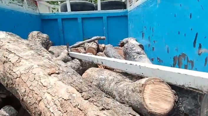 Kanpur Forest officials beaten while attempting to stop illegal tree felling Deputy Ranger also mistreated
