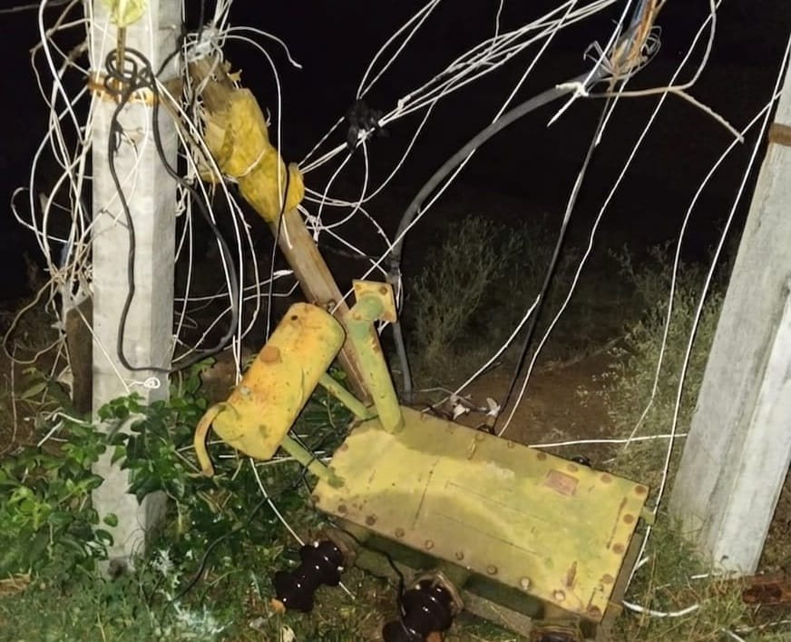 Over 200 electricity poles toppled 13 transformers damaged 260 trees uprooted in Storm