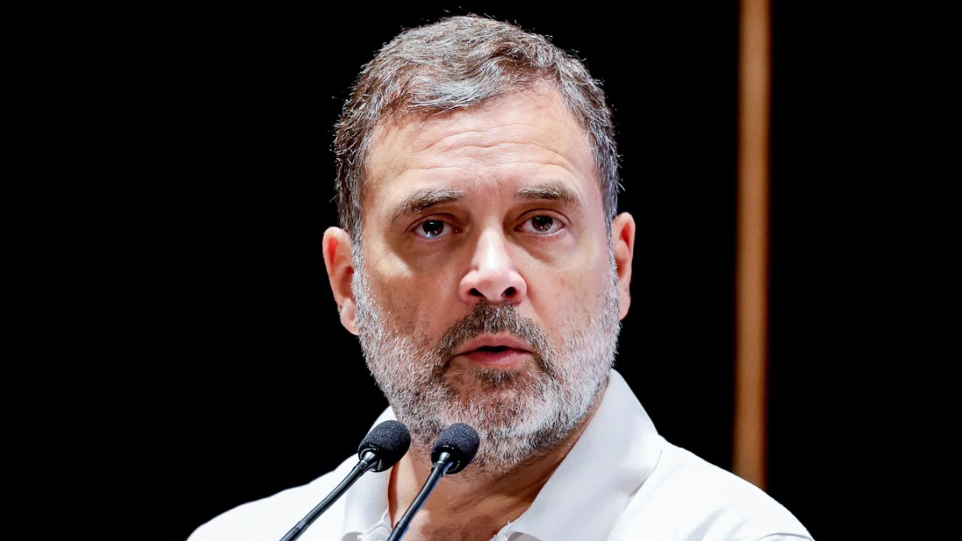 राहुल गांधी, कांग्रेस नेता