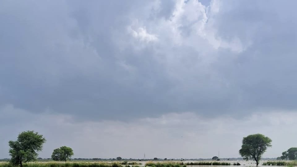 Rain in Hathras makes the weather pleasant