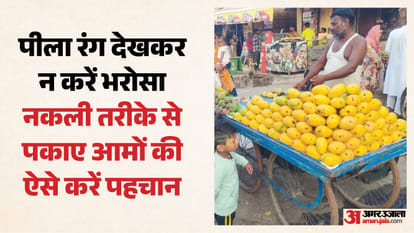 Mango Alert: क्या आप भी खरीद रहे हैं इस तरह के आम? स्वाद के चक्कर में सेहत न हो जाए खराब; ऐसे करें पहचान Mangoes ripened with chemicals and sold in market can harm your health