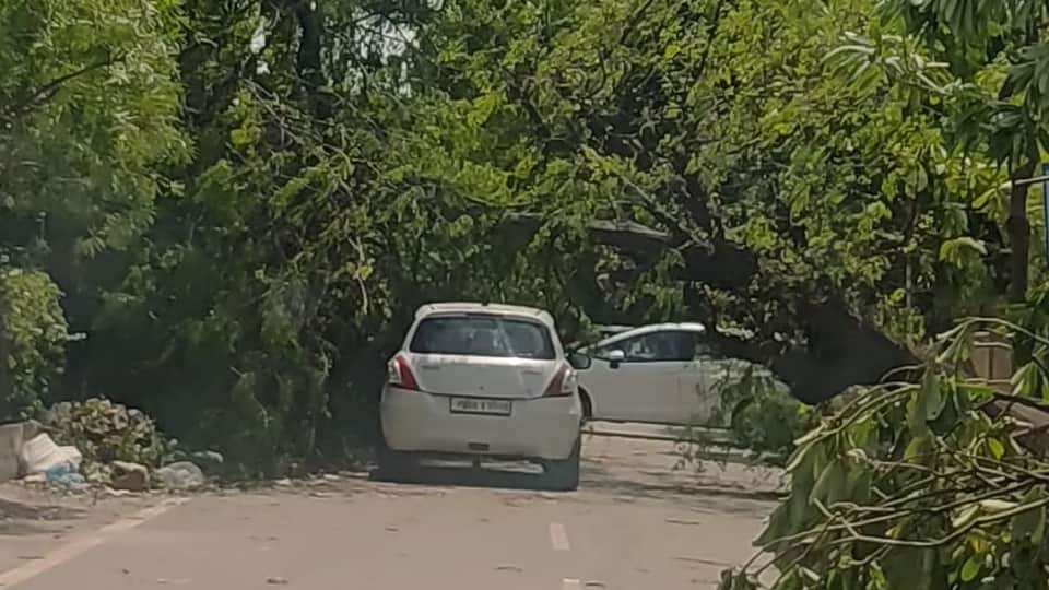 Punjab Weather Mercury drops strong winds rain alert Powercom suffers loss
