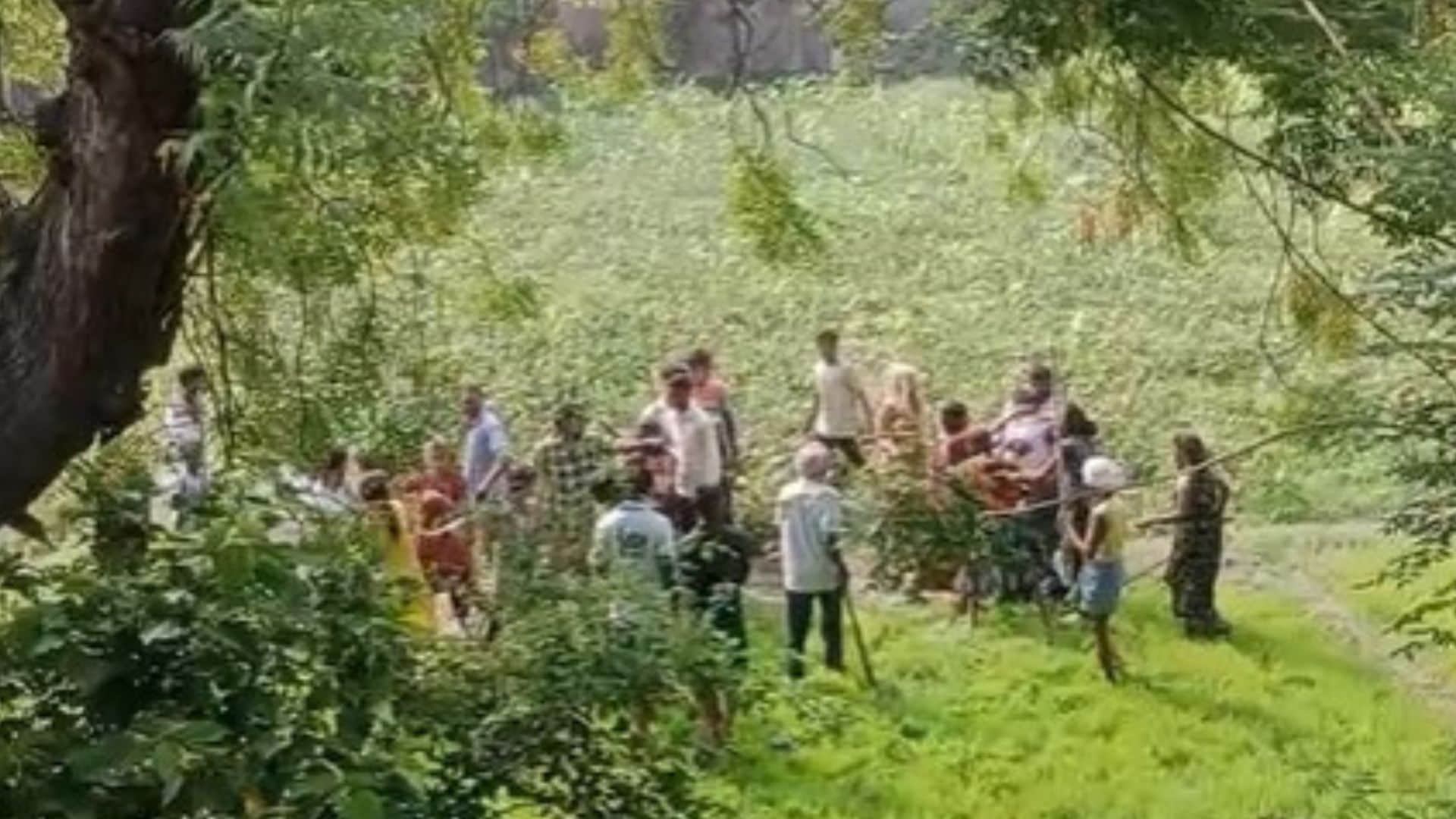 वायरल वीडियो से निकाली गई फोटो।