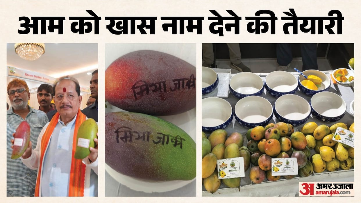 Patna Mango Festival: Agriculture Minister Vijay Sinha spoke about diversifying into exotic mango varieties